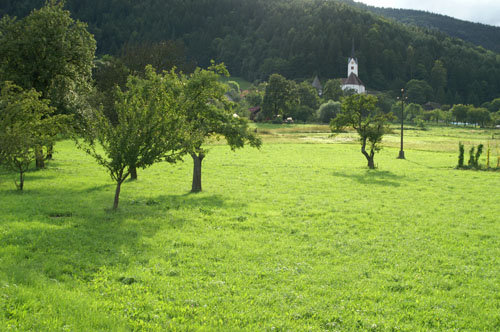 PICT0202