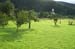 PICT0202