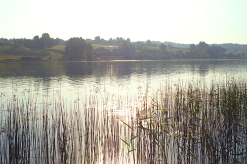 PICT0264
